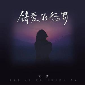 错爱的惩罚 (DJBanan版)