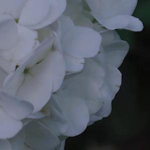 遇见你（Cover 能登麻美子）