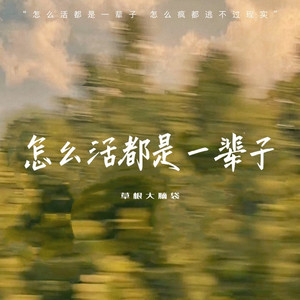 怎么活都是一辈子