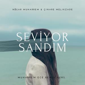 Seviyor Sandım - Remıx