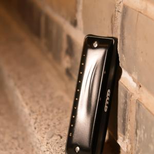 你不要担心 十孔口琴