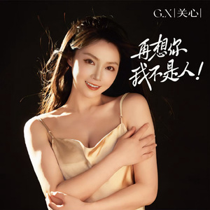 再想你我不是人（DJ版）（伴奏）