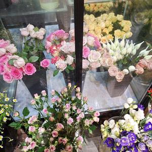 spring（PROD BY XVIBE)