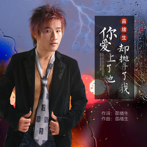 你爱上了她却抛弃了我