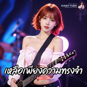 เหลือเพียงความทรงจำ