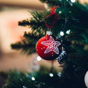 Elves in the Woodlands