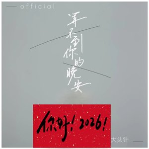 等不到你的晚安（你好！2026！）（DJ沐泽版）