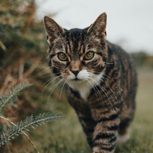 华北明珠（prod by Rick1y）