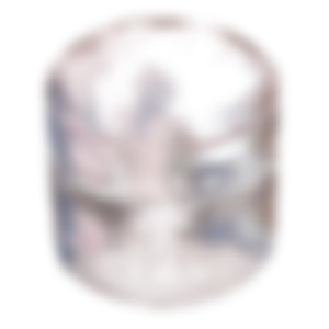 飛ぶ鳥をなぞる