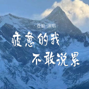 疲惫的我不敢说累