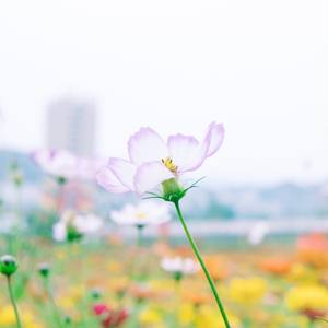雨后天空 (钢琴曲)