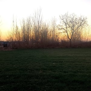 春痕_caaae0df_1777373258281