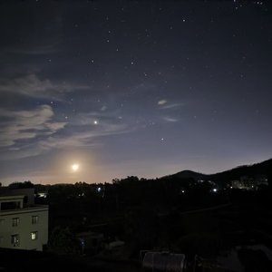 春知