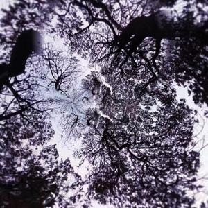 蛀虫 (Instrumental)