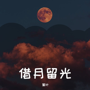 借月留光
