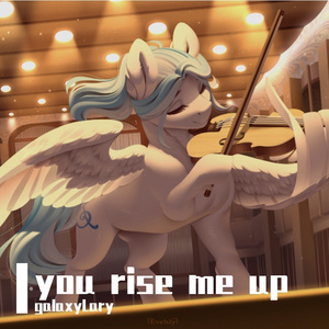 you rise me up(violin)