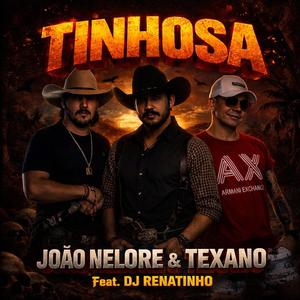 TINHOSA RMX
