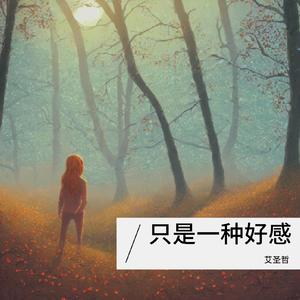 只是一种好感伴奏