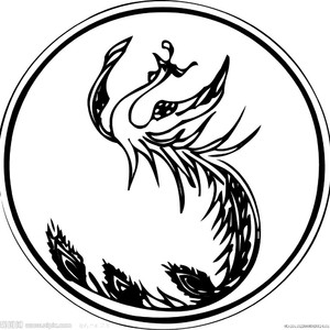 UVS出品 百鸟朝凤•悲白发