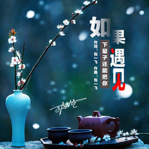 如果下辈子还能把你遇见