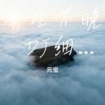 平生不晚 DJ细霖版 (Cover 是文川吖) - 元宝 专辑封面