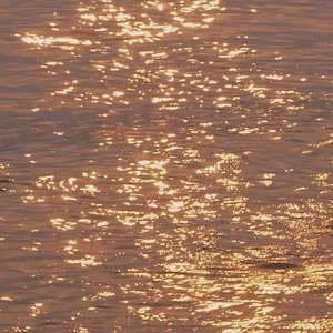 追光者（翻自 无）