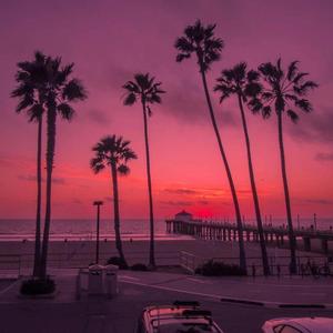 summer sunset (slowed)