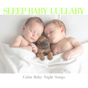 ナッツと添い寝 寝落ち用BGM