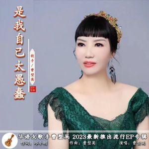 是我自己太愚蠢