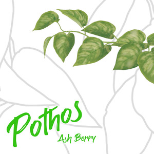 Pothos
