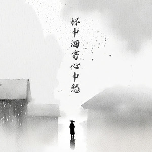 杯中酒寄心中愁 (DJ光头版)