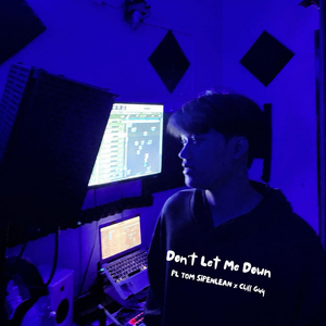 Don't Let Me Down
