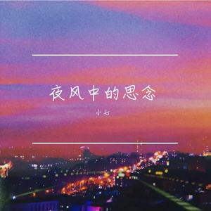 夜风中的思念 伴奏