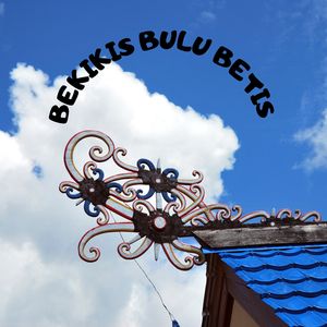BEKIKIS BULU BETIS