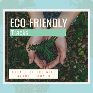 Eco-Friendly Track