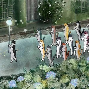 西罕-我看过(升调版)