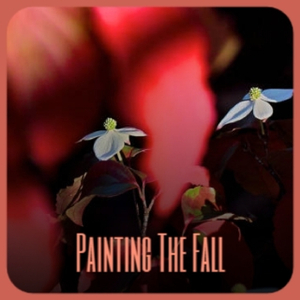 Frogs On A Lilly Pad Vocal..60's Swamp Rock