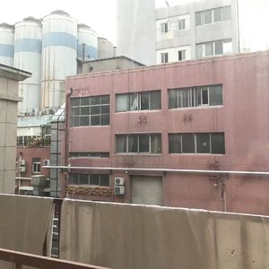 批评自我与同行