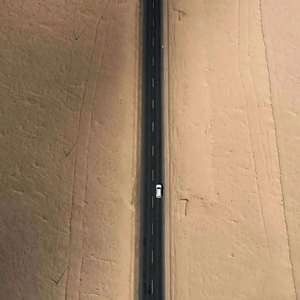 我比风还要自由