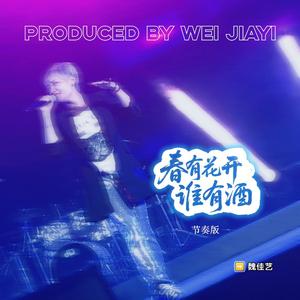 春有花开谁有酒（节奏版）