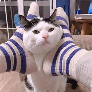 感官先生