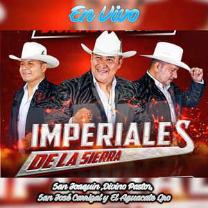 Huapangiando en el Aguacate Qro (En Vivo)