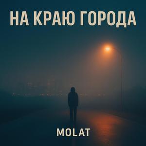 На краю города