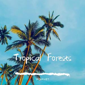 Tropical Forests（New Year Mix）