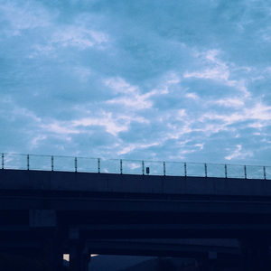 盛夏恋爱季