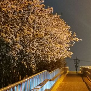 你是我年少求剑时刻的舟（cover黄诗扶）