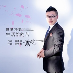 慢慢习惯生活给的苦