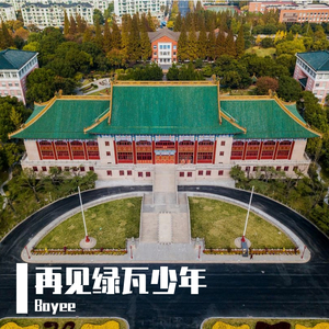 再见绿瓦少年