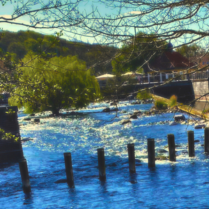 mrs winslows sootHing syrup // InTellectual P