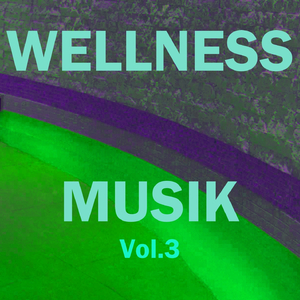 Wellness musik, vol. 3